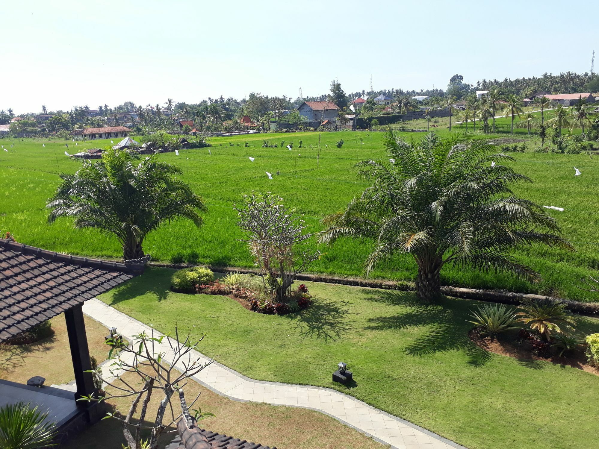 Pandawa Village Lovina Kültér fotó